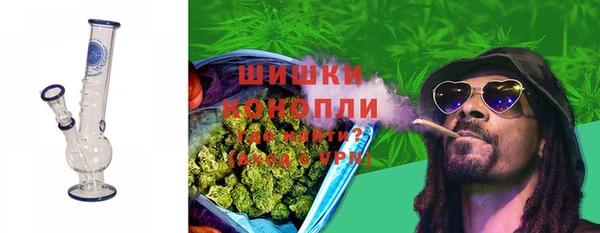 дмт Богородицк