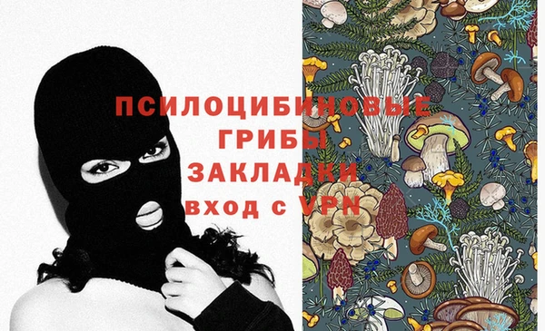 хмурый Волосово
