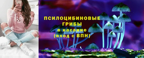 COCAINE Богородск