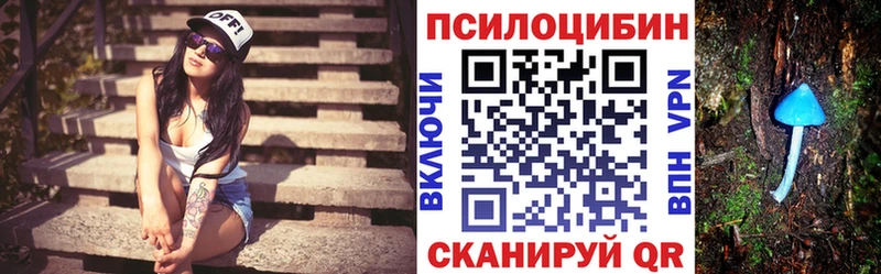Псилоцибиновые грибы Psilocybine cubensis  наркошоп  Выборг 
